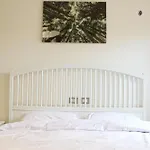 Modern 1Br Apartment In Palm Hills Near Auc New Cairo